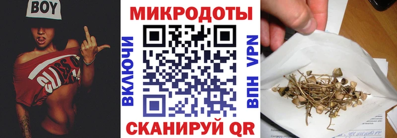 Псилоцибиновые грибы мухоморы  Нестеров 